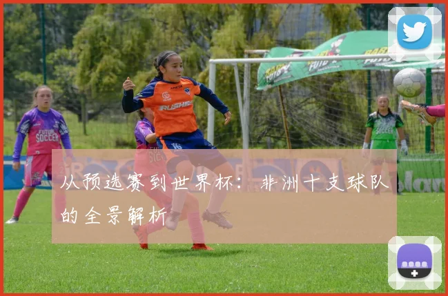 从预选赛到世界杯：非洲十支球队的全景解析