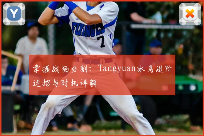 掌握战场分割：Tangyuan冰鸟进阶连招与时机详解